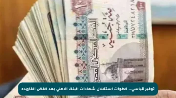 توفير قياسي.. خطوات استغلال شهادات البنك الأهلي بعد خفض الفائدة